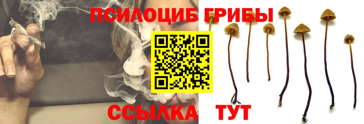 Галлюциногенные грибы MAGIC MUSHROOMS  Вход с VPN  Когалым  Галлюциногенные грибы прущие грибы 